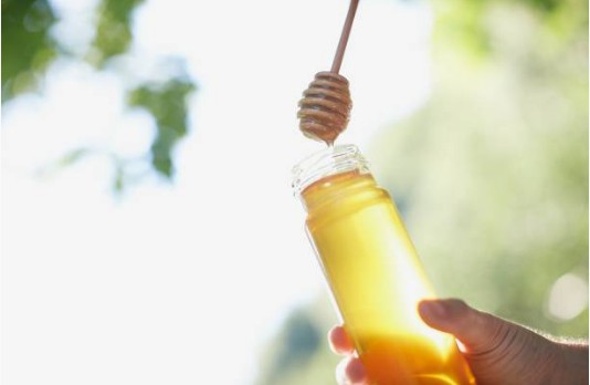 miel-abeille-ruche
