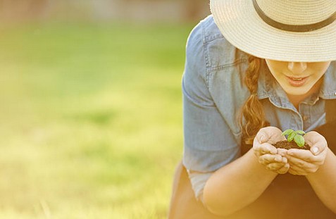 Jardinage raisonné : les 4 principes du jardinage écoresponsable