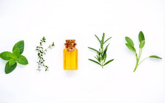 Naturopathie : comment soulager les douleurs dentaires ?