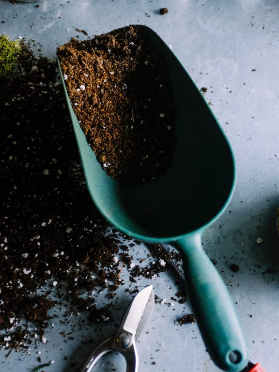 Seniors — quelles plantes faire pousser en jardinière ?